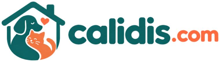 Calidis, retour à l’accueil